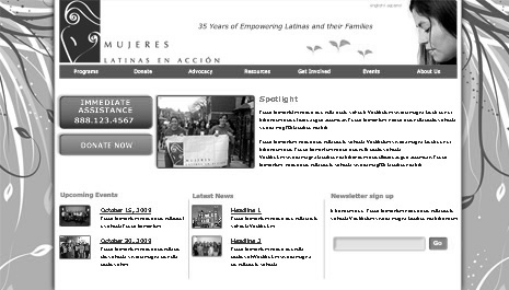 Portfolio image for Mujeres Latinas en Acci&oacute;n